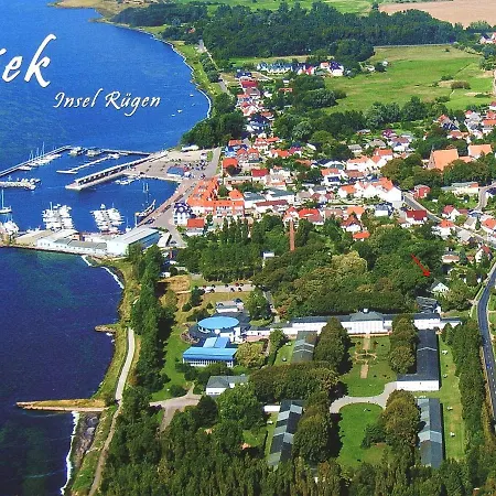 Ostseestern